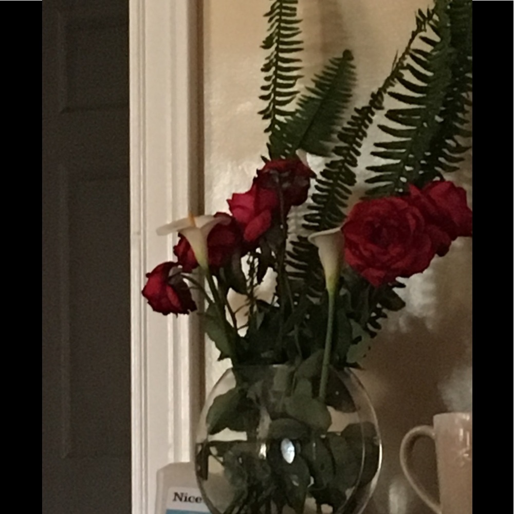 Meet your Posher, Rosio